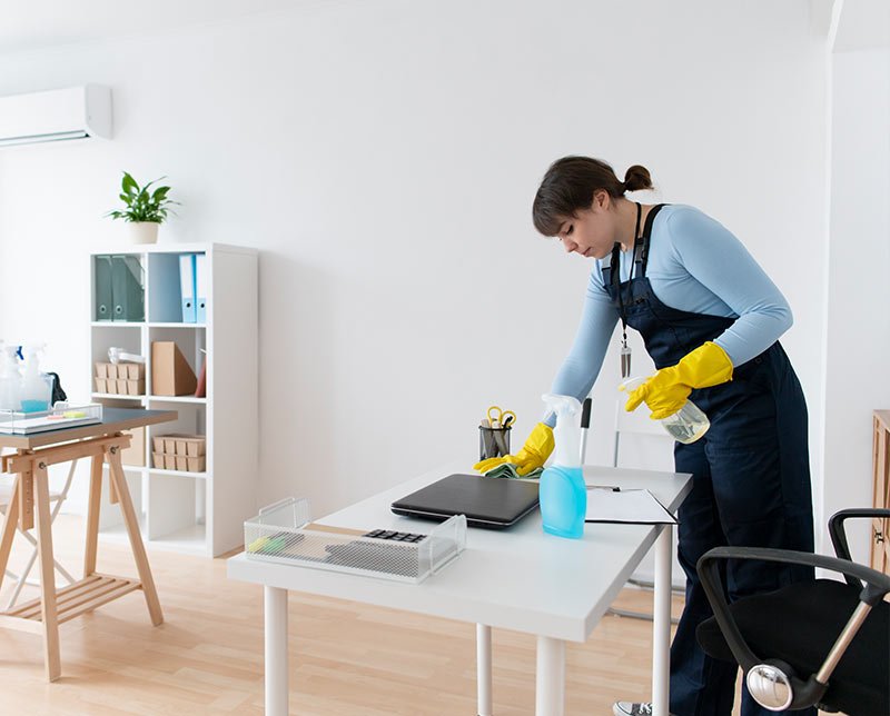 Professional cleaning services in Rochester NY